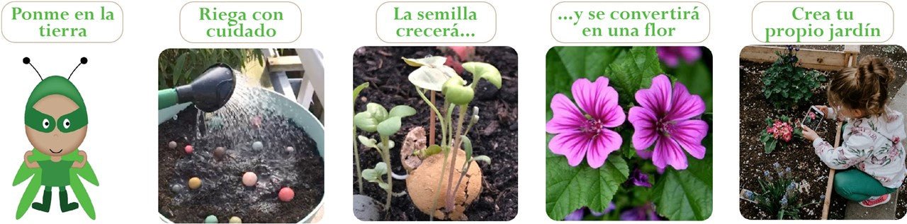 Bombas de semillas de flores - primavera/verano - MINI MUNDO
