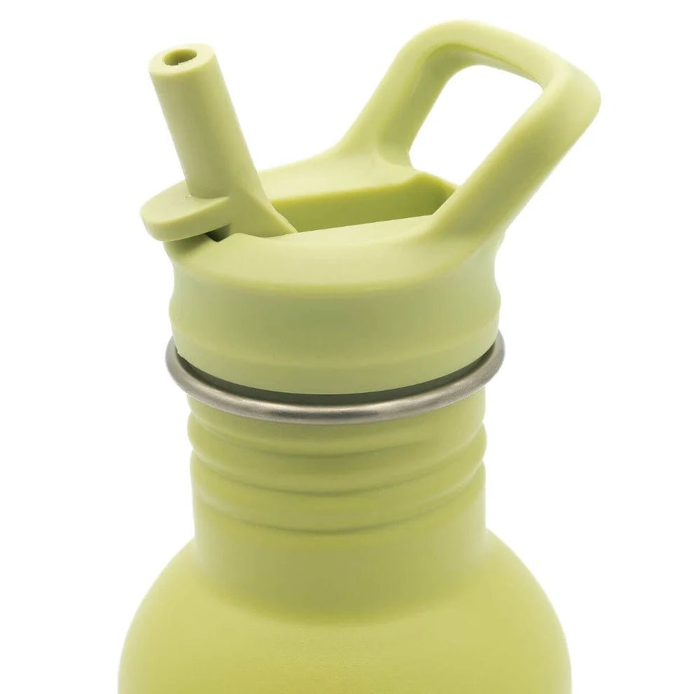 Botella de Acero Inoxidable Sassi Dinosaurio 500 ml - BEBABI