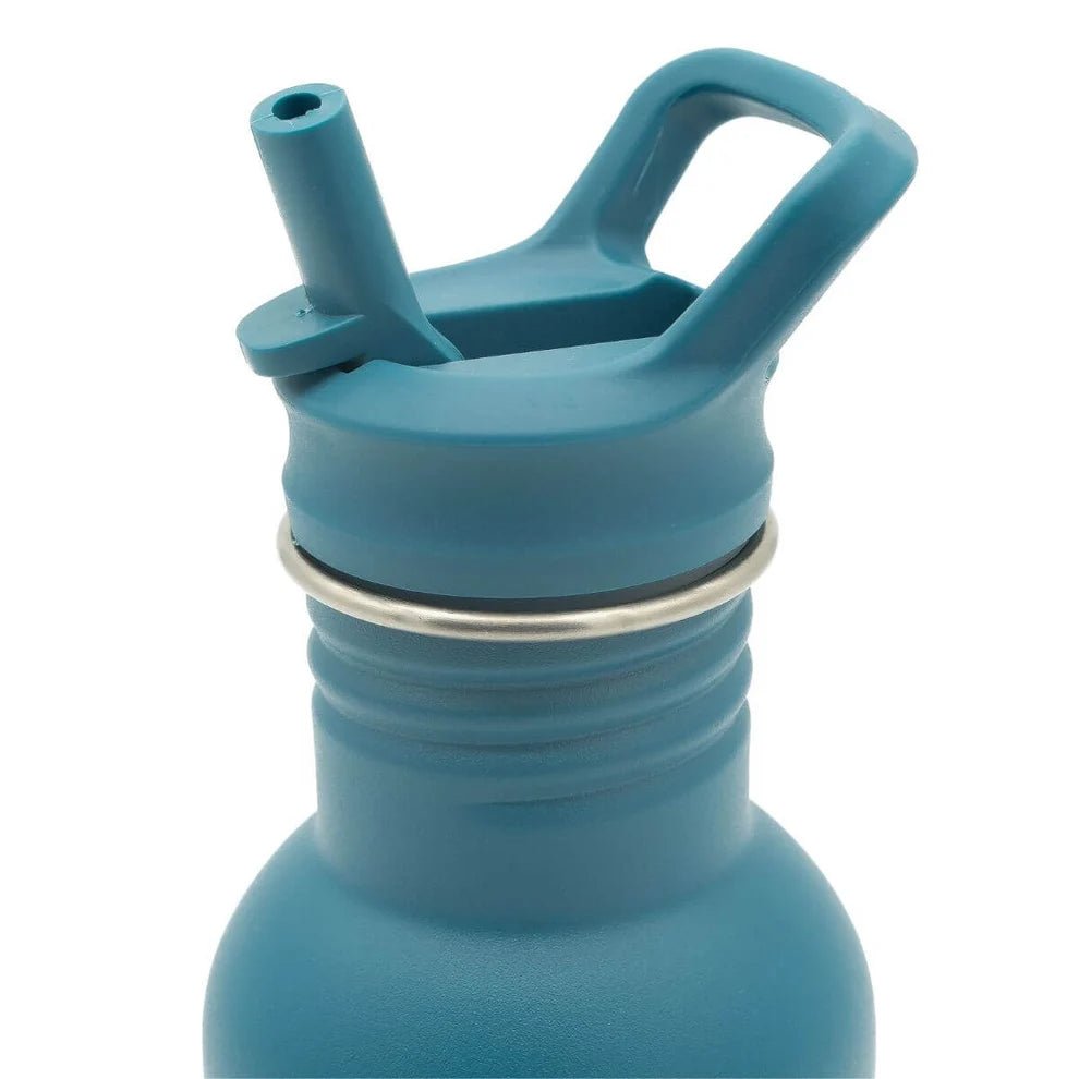 Botella de Acero Inoxidable Sassi Elefante 500 ml - BEBABI