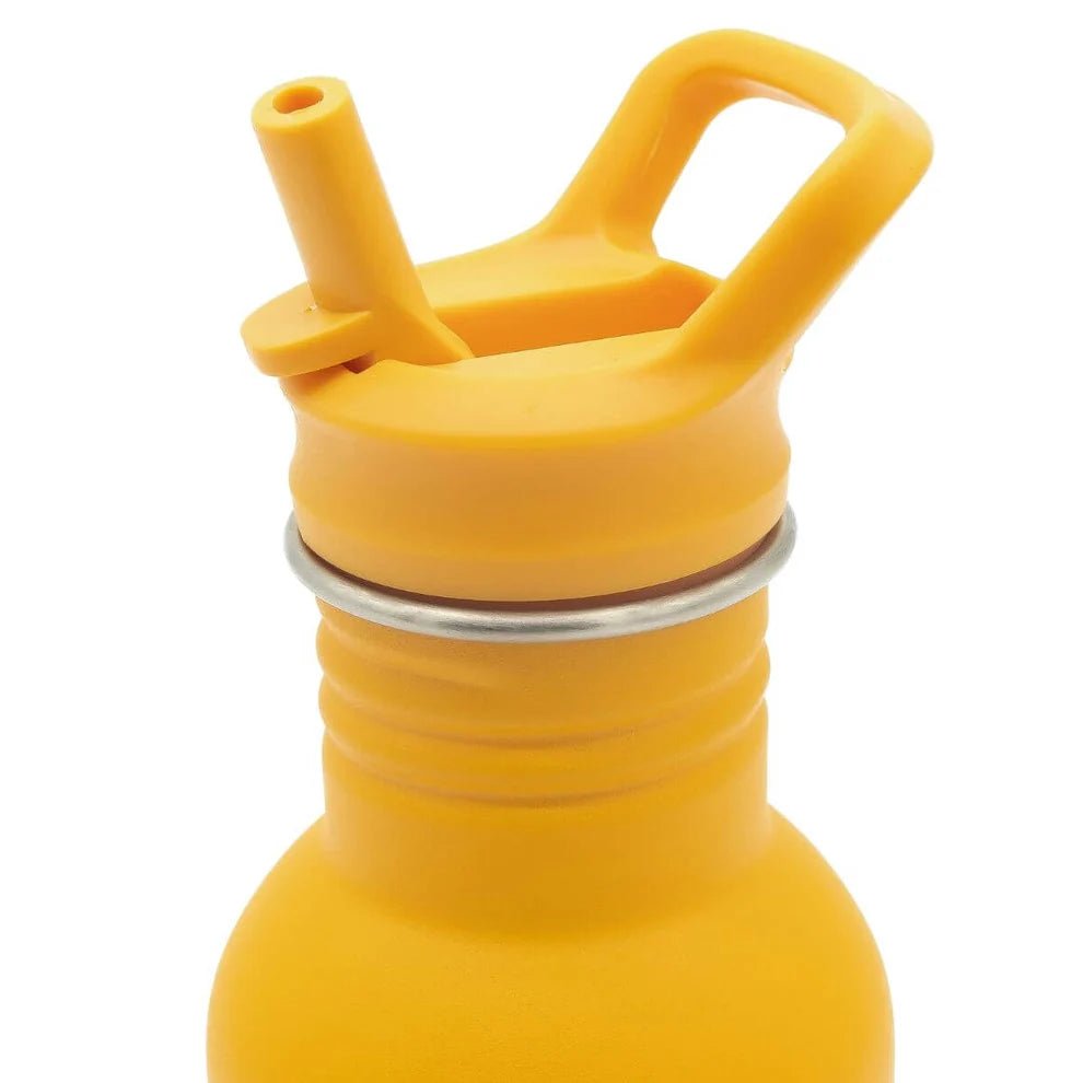Botella de Acero Inoxidable Sassi León 500 ml - BEBABI