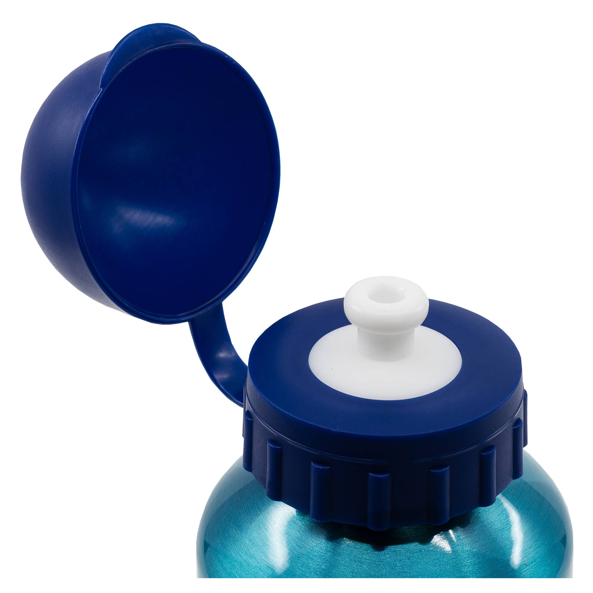 Botella pequeña Bluey - MINI MUNDO