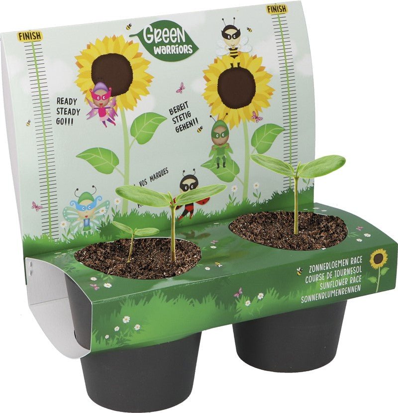 Set de carreras Girasol - MINI MUNDO
